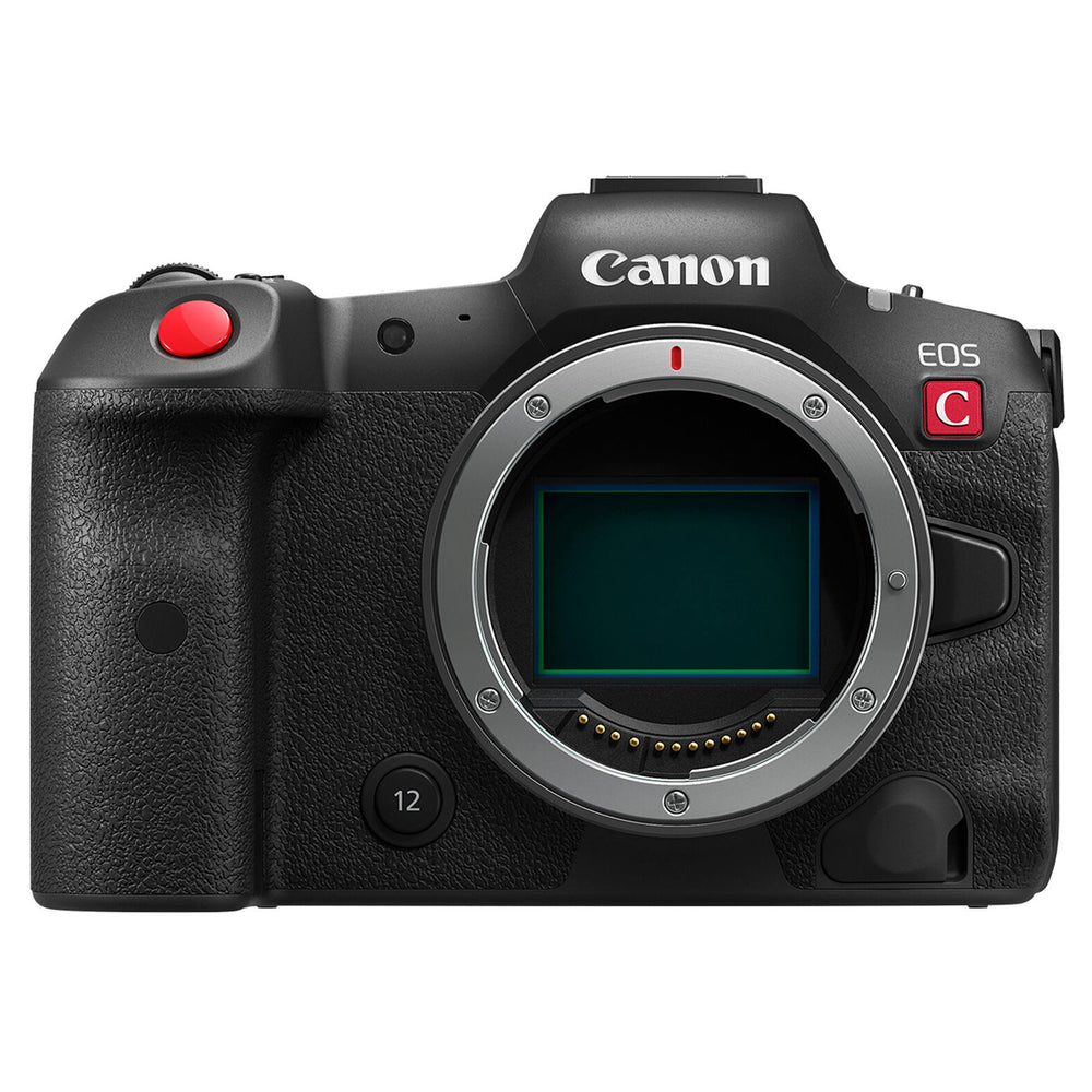 Canon - Cámara digital EOS R sin espejo (solo cuerpo)